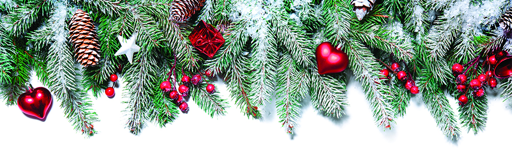 Christmas Border Top